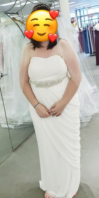 Wedding Dress Silhouettes! Ballgown, Mermaid, or Sheath? - 1