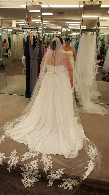 Can I see your veils???