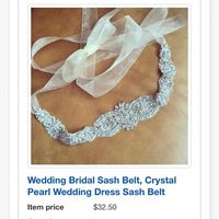 Wedding Veil?