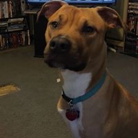 NWR: Puppies and fur babies!