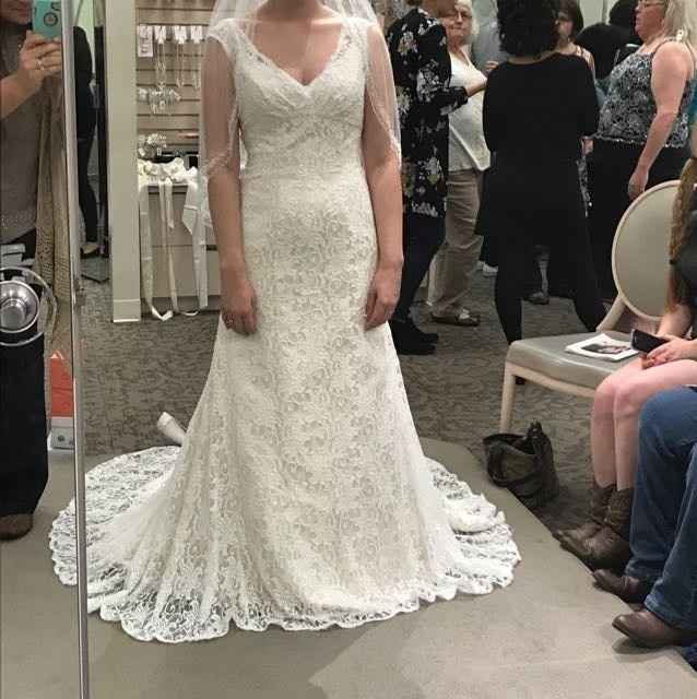 Davids Bridal Dresses!