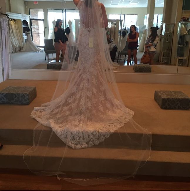 Let me see your veil!
