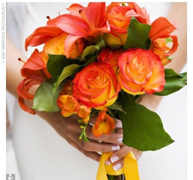 Florist Consultations today and Tom. Any suggestions?