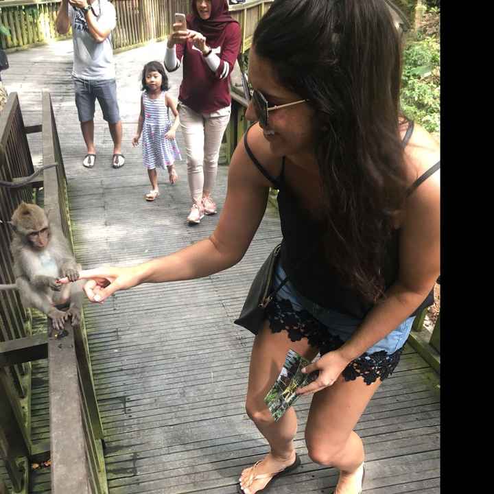 Show me your honeymoon pics! - 3