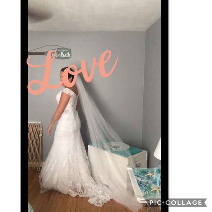 Veils - 1
