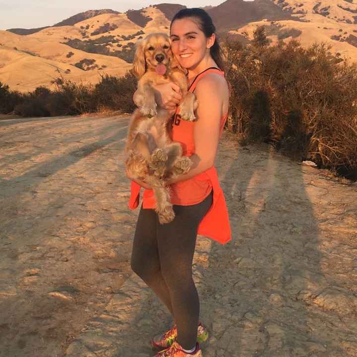NWR: National Dog Day!