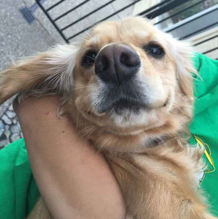 Show me those puppies!