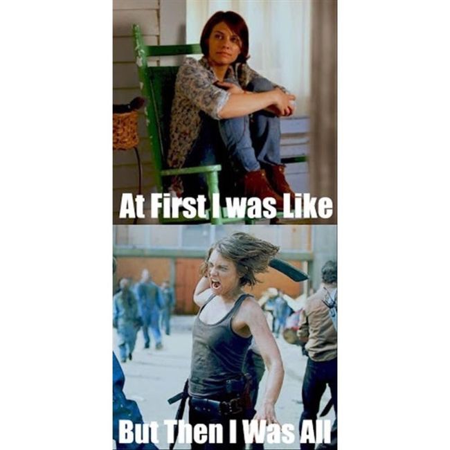 NWR: Memes & Cute Animal Pictures