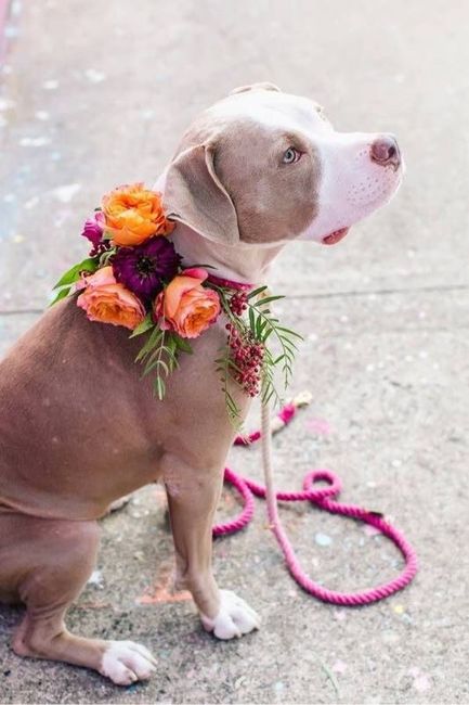Skipping the Bouquet
