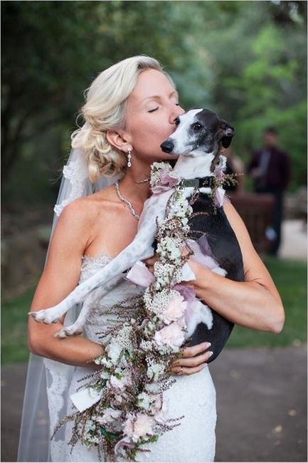 Skipping the Bouquet