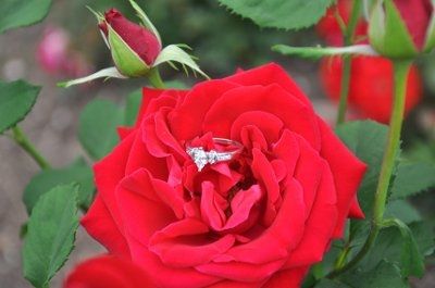 New E-Pix -- SOOOO much better!!!