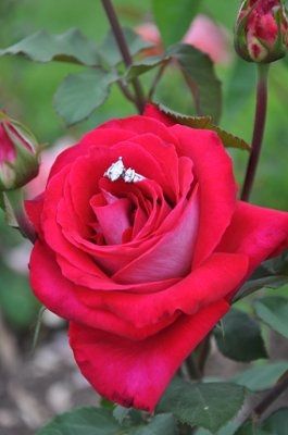 New E-Pix -- SOOOO much better!!!