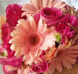 Can someone show me bouquets/arrangemets for ceremony with gerber dasies.....
