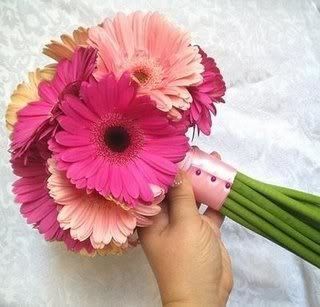 Can someone show me bouquets/arrangemets for ceremony with gerber dasies.....