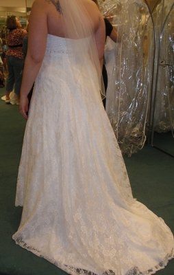 Calling all David's Bridal Brides... Let's see all the dresses and see who's dress twins! :D