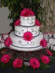 Let's see your CAKE!