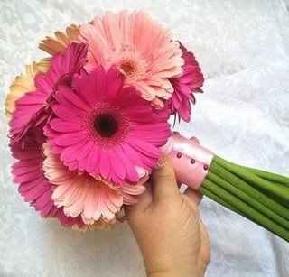 Can someone show me bouquets/arrangemets for ceremony with gerber dasies.....