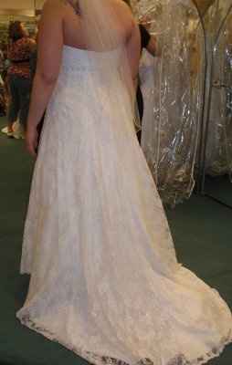 Calling all David's Bridal Brides... Let's see all the dresses and see who's dress twins! :D