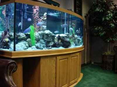 17 days to go... And not on speaking terms with FH...