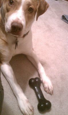 *NWR* Show me your pets/animals! *PICS*