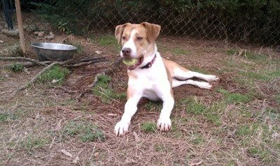 *NWR* Show me your pets/animals! *PICS*