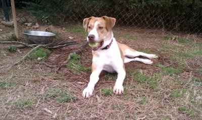*NWR* Show me your pets/animals! *PICS*