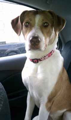 *NWR* Post pics of your furry (or not so furry) kids!