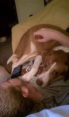 NWR: I want to see your pets!