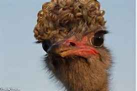 How should I style my hair for my wedding?