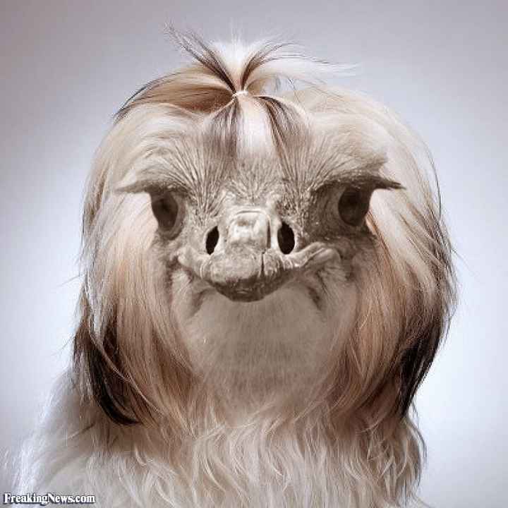 How should I style my hair for my wedding?