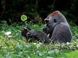 Show off your fiance!