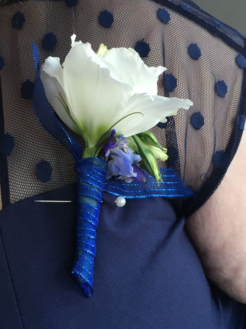 BAS - Twice - pic heavy