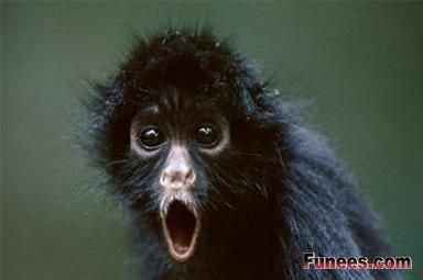 This is how I feel about wedding planning....