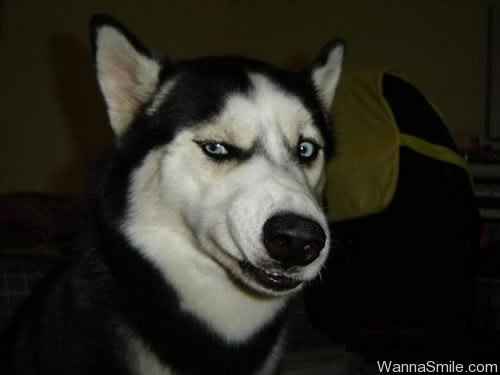 This is how I feel about wedding planning....