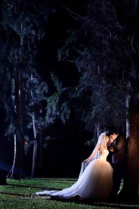 Help me find these dresses!