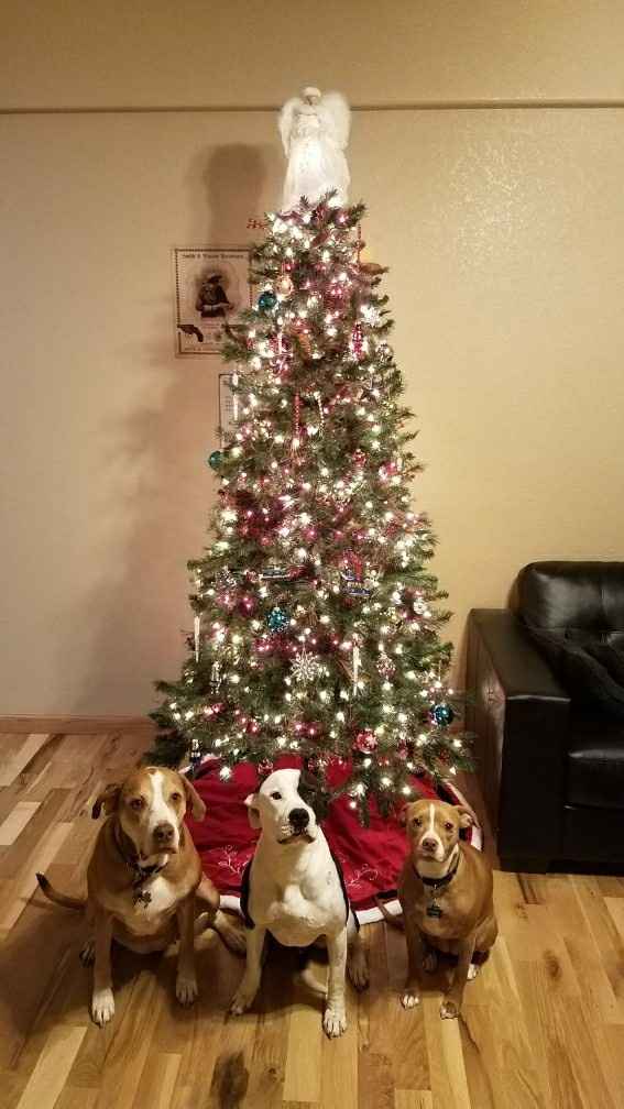 Show me your holiday photos!