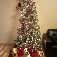 Show me your holiday photos!