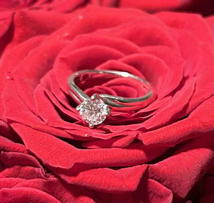 2024 Brides - Show us your ring! - 1