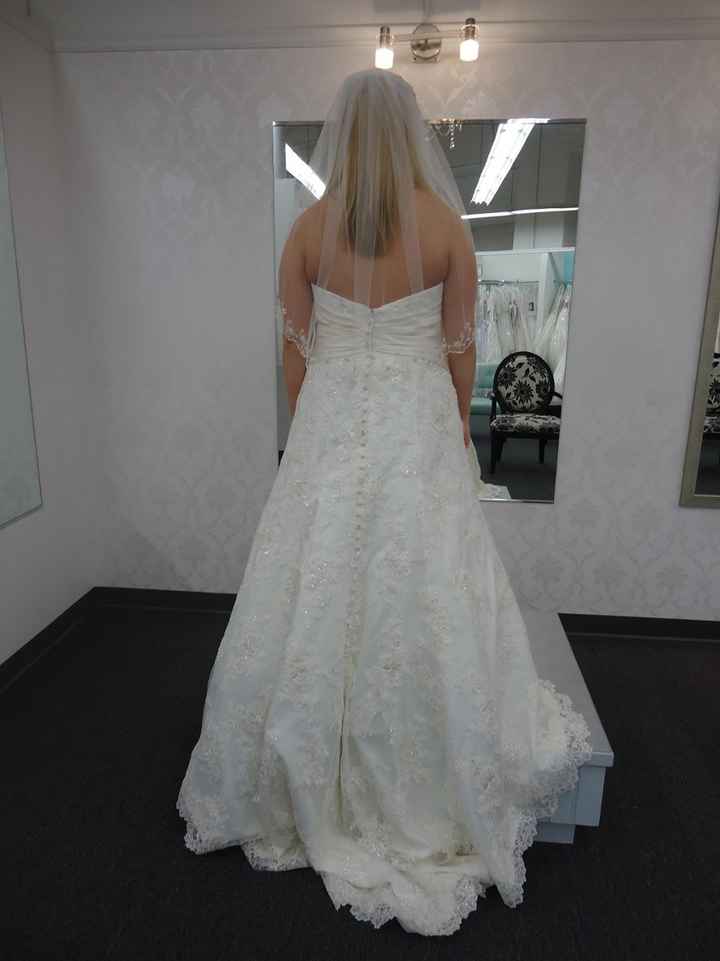 My dress came in! Pics