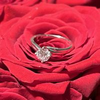 2024 Brides - Show us your ring! - 1