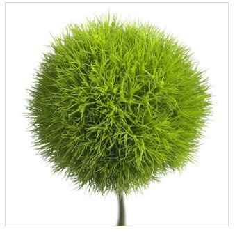 Wedding thoughts/plans coming together!