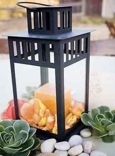 Need Center Piece Ideas?