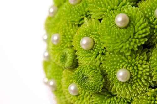 Thoughts on color scheme for wedding?!?!?!