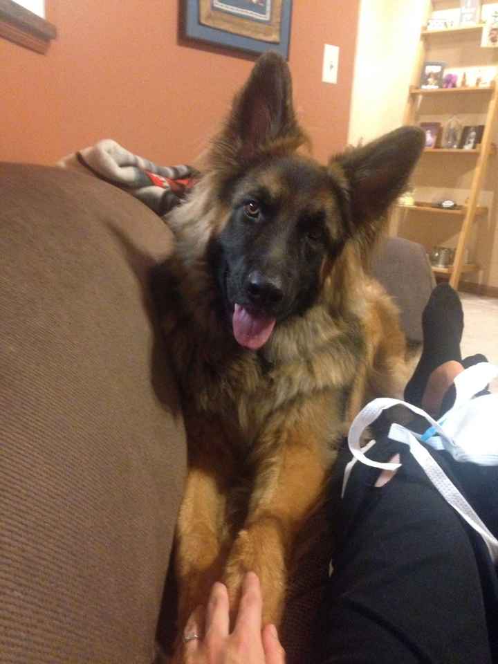 Show Me... Cheering Up!