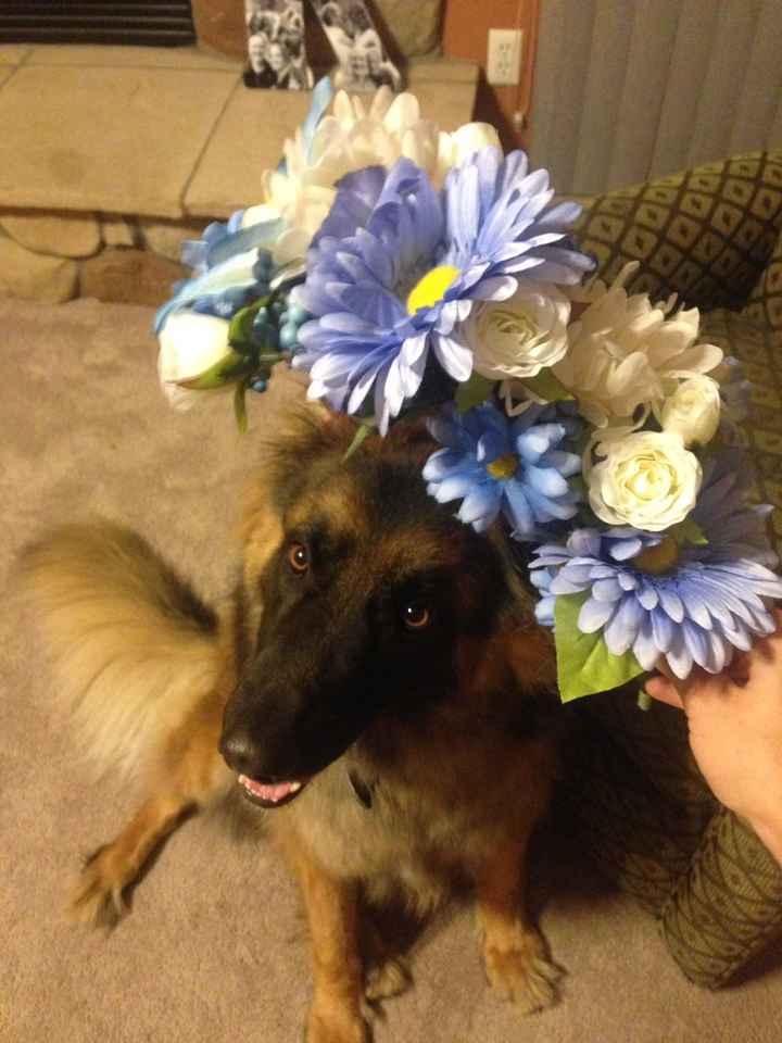 First attempt at DIY flowers