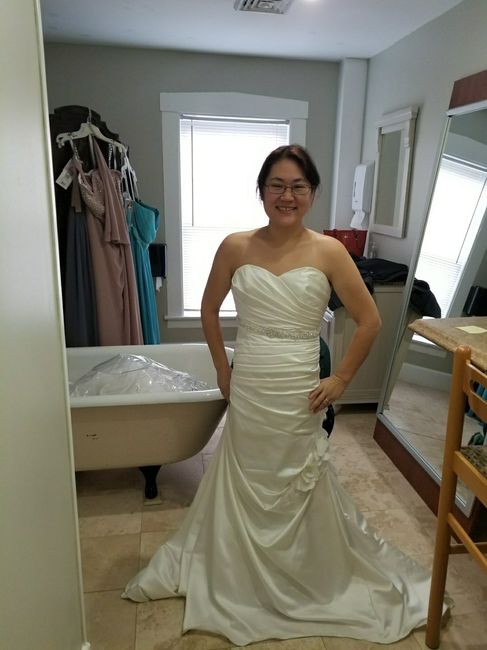  Preowned dress win! (pics) - 1