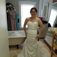  Preowned dress win! (pics) - 1
