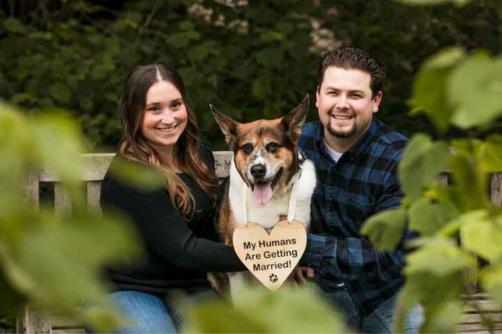 Show me your engagement photos! - 1
