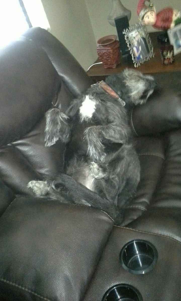 Spinoff: Show us your rescues!