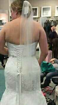 Let me see your veil